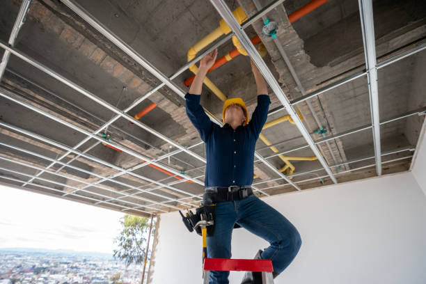 Best Residential Plumbing Services  in Tangerine, FL